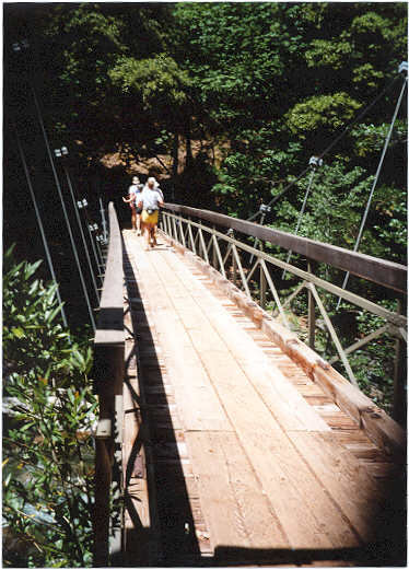 Runners on the bridge